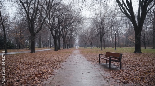  an empty park on an overcast autumn day, with bare trees and fallen leaves