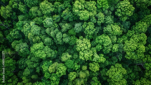 Forest landscape pattern background top view generated by ai