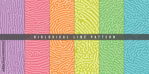 Set of organic, biological turing lines patterns