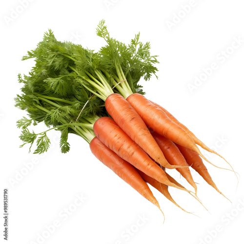 bunch of carrots isolated
