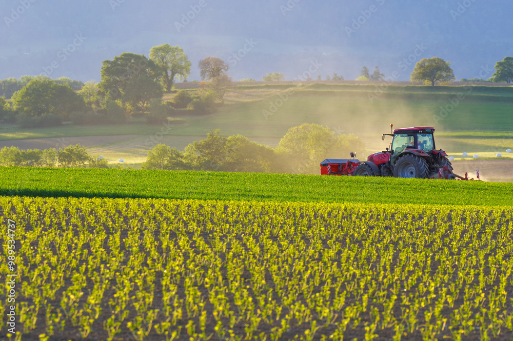 Agricultural landscape, cultivated fields and tractor work. Agricultural landscape, cultivated fields and tractor work.