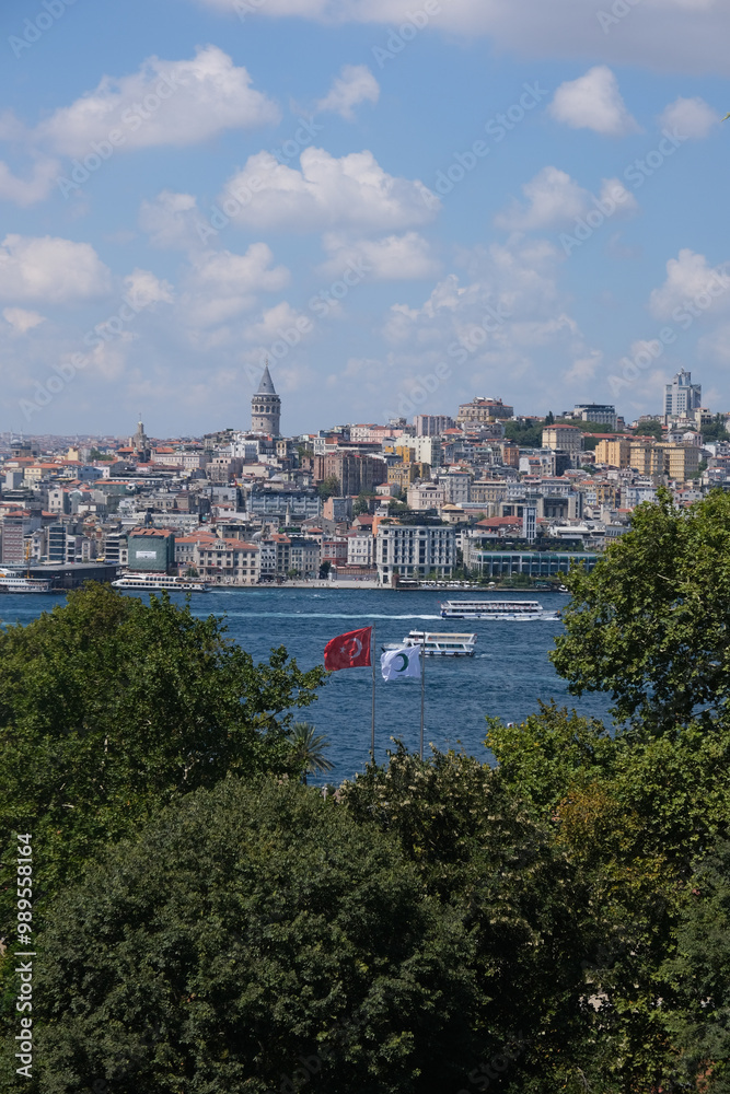 Naklejka premium istambul panoramica cidade mesquita turquia