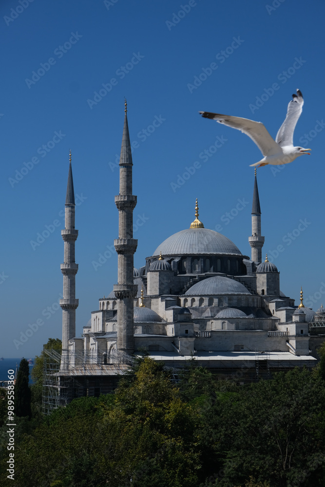 istambul panoramica cidade mesquita turquia ave