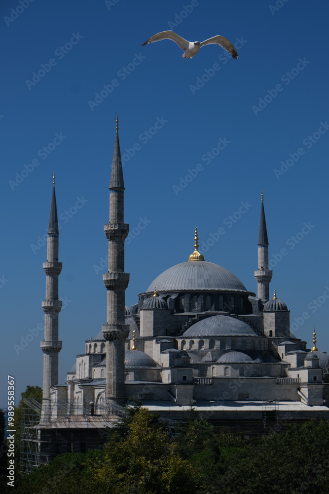 Fototapeta premium istambul panoramica cidade mesquita turquia