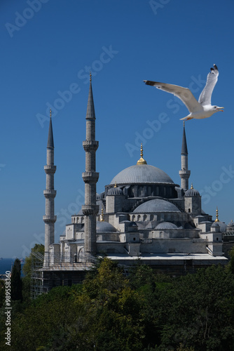 Obraz na płótnie istambul panoramica cidade mesquita turquia ave w salonie