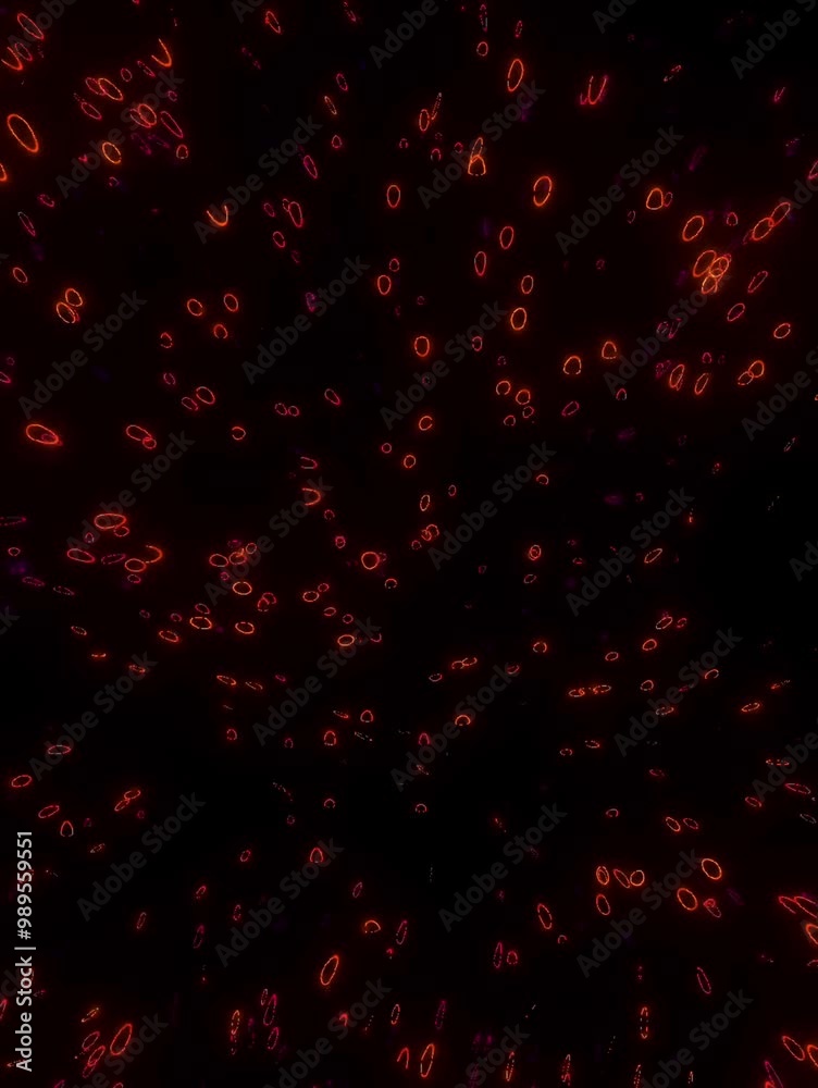 Bright neon red particles spread across a black background in an abstract explosion pattern
Bright neon red particles spread across a black background in an abstract explosion pattern