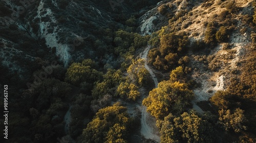 Aerial view of winding trail through lush greenery and rugged hills at sunset in a serene natural landscape