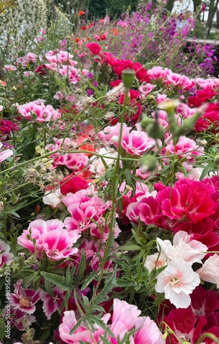 Wallpaper Mural Flores rosadas de primavera y verano  Torontodigital.ca