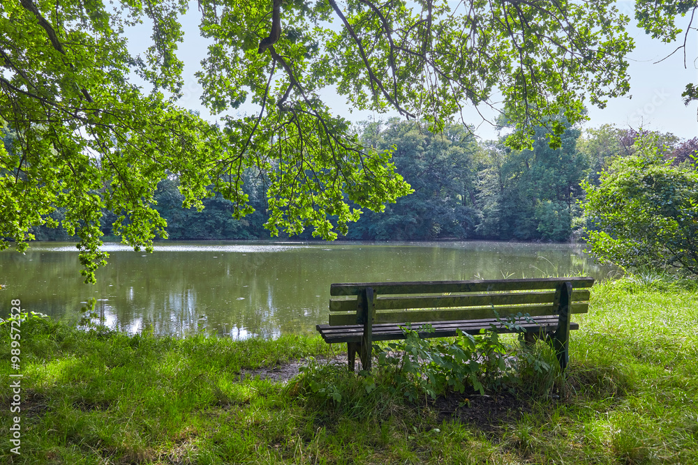 Beautiful park in Ringelheim Castle near Salzgitter, Lower Saxony, Northern Germany, Beautiful park in Ringelheim Castle near Salzgitter, Lower Saxony, Northern Germany,