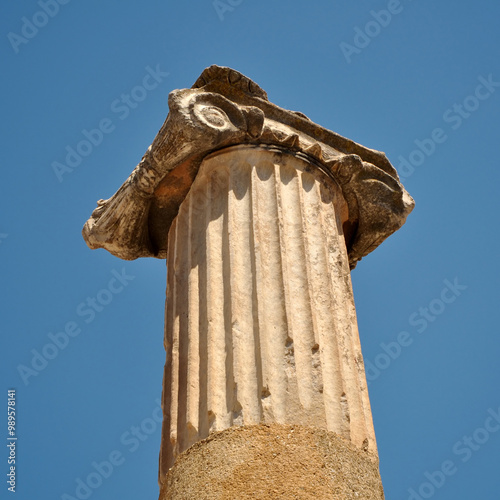 The capital of an ancient Greek column