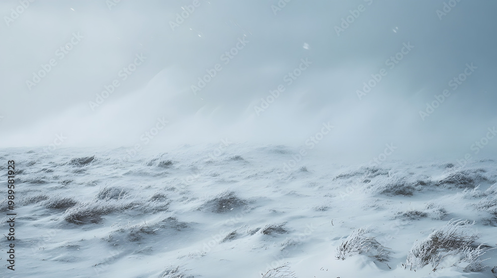 A snowstorm sweeping across a barren plain with visibility reduced to a few feet as the snow swirls violently in the wind.