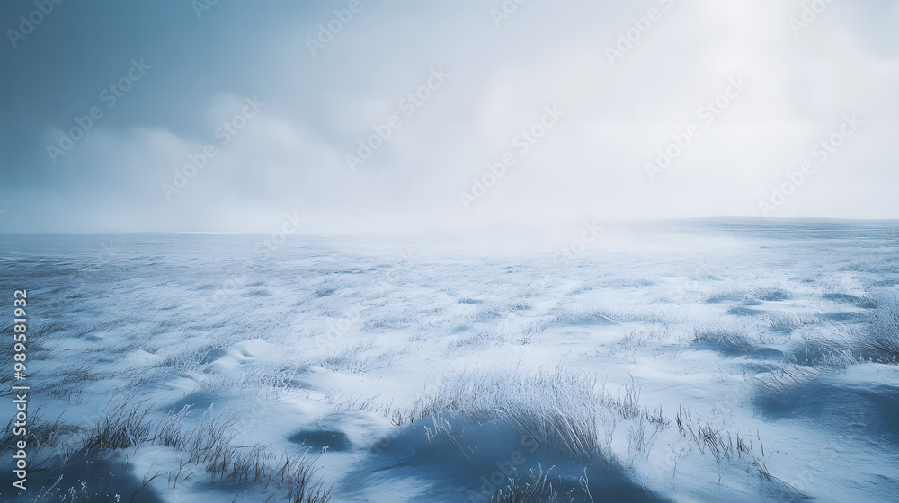 A snowstorm sweeping across a barren plain with visibility reduced to a few feet as the snow swirls violently in the wind.