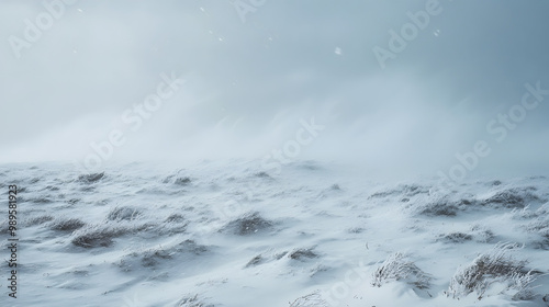 Obraz na płótnie A snowstorm sweeping across a barren plain with visibility reduced to a few feet as the snow swirls violently in the wind. w salonie