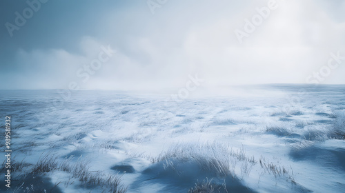 Obraz na płótnie A snowstorm sweeping across a barren plain with visibility reduced to a few feet as the snow swirls violently in the wind. w salonie
