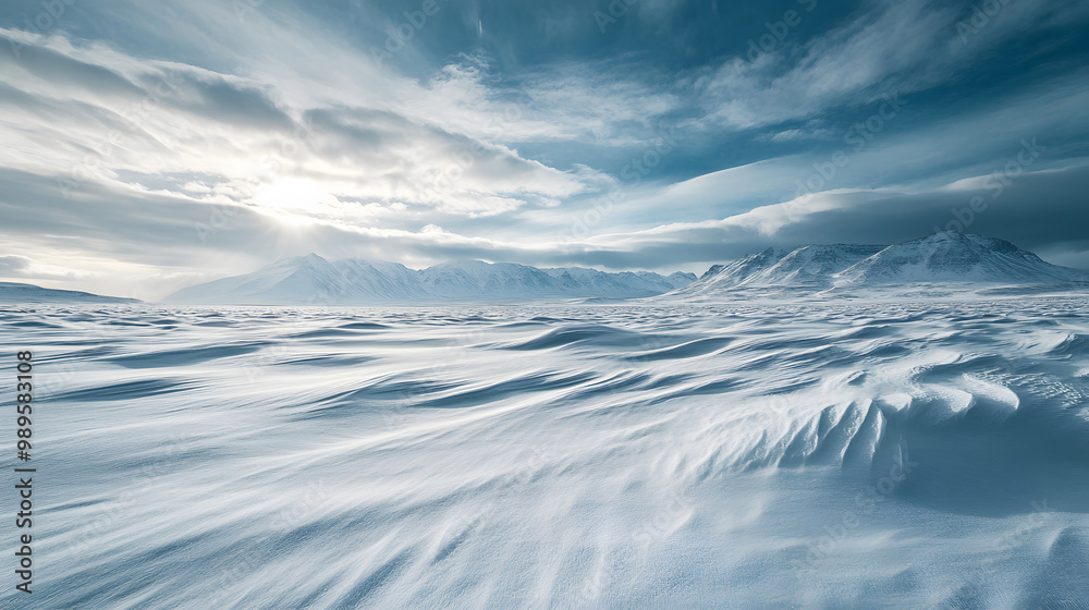 A windswept snowy plain stretching out toward distant mountains with snow drifts creating soft waves across the landscape under a cloudy winter sky.