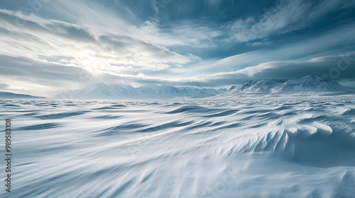 Obraz na płótnie A windswept snowy plain stretching out toward distant mountains with snow drifts creating soft waves across the landscape under a cloudy winter sky. w salonie