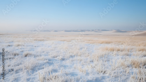 Obraz na płótnie A vast snow-covered prairie stretching to the horizon with low hills barely visible in the distance and a soft layer of frost covering the tall grasses. w salonie