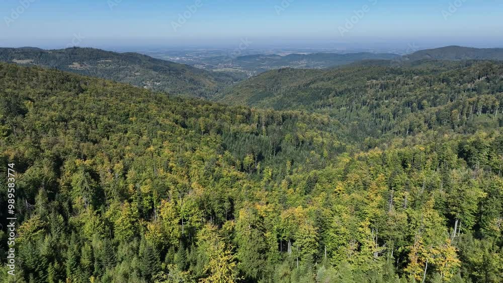 Beskid Maly aerial panorama of potrojna hill and czarny gron.Little Beskids mountain range in summer.Aerial drone view of Rzyki Village in Beskid Maly Poland.Czarny gron ski resort in Rzyki. Beskid Maly aerial panorama of potrojna hill and czarny gron.Little Beskids mountain range in summer.Aerial drone view of Rzyki Village in Beskid Maly Poland.Czarny gron ski resort in Rzyki.