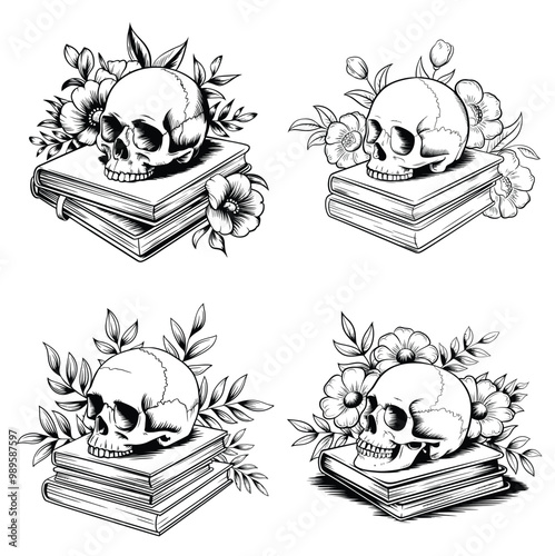 illustration of a skull and books