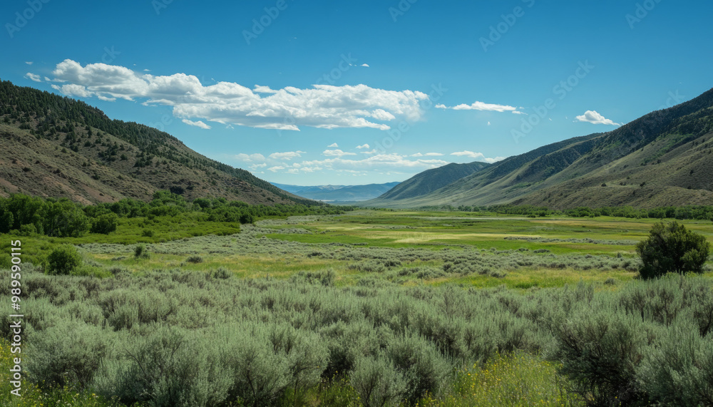 Northern Nevada, high desert, High desert landscape, North western Nevada Northern Nevada, high desert, High desert landscape, North western Nevada