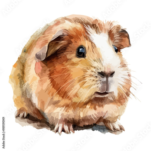 Watercolor painting of Guinea pig, isolated on a white background, and Guinea pig vector