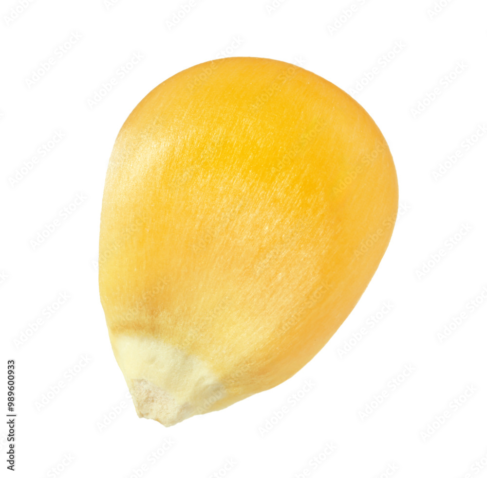 One fresh corn kernel isolated on white One fresh corn kernel isolated on white