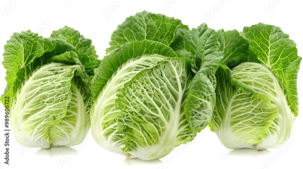 Obraz premium A unique arrangement of fresh lettuce leaves stacked upon one another