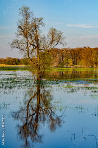 643-11 Spring Flood - Portage River photo