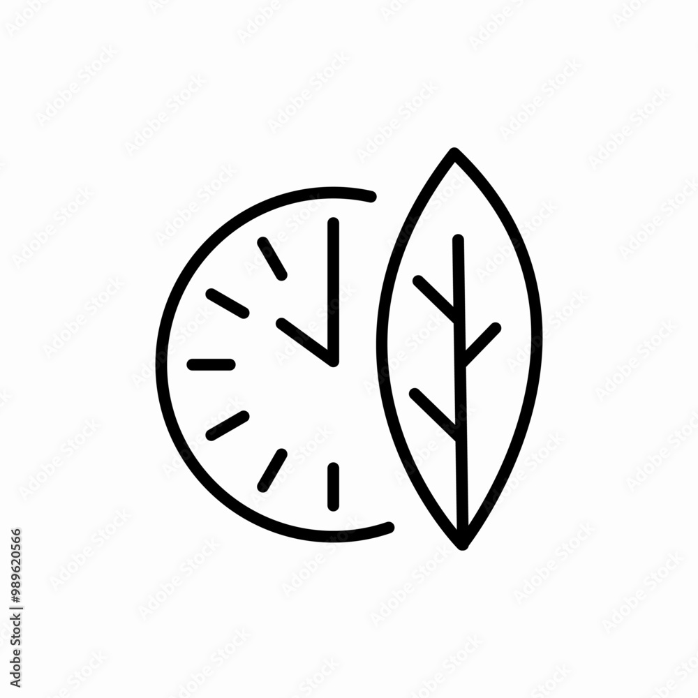 leaf time icon sign vector leaf time icon sign vector