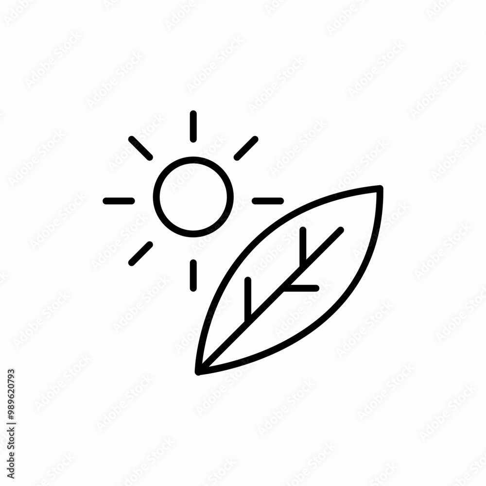 sun like leaf icon sign vector