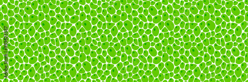 Green cells seamless patterns set. Leaf structure vector illustration. Fresh greenery template background. Plant repeated texture for organic, eco, agro and scientific designs. voronoi endless backdro