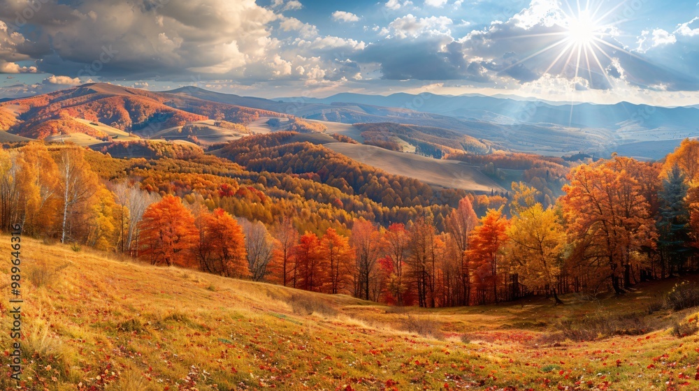 Fototapeta premium Panoramic view of autumn sunny day.