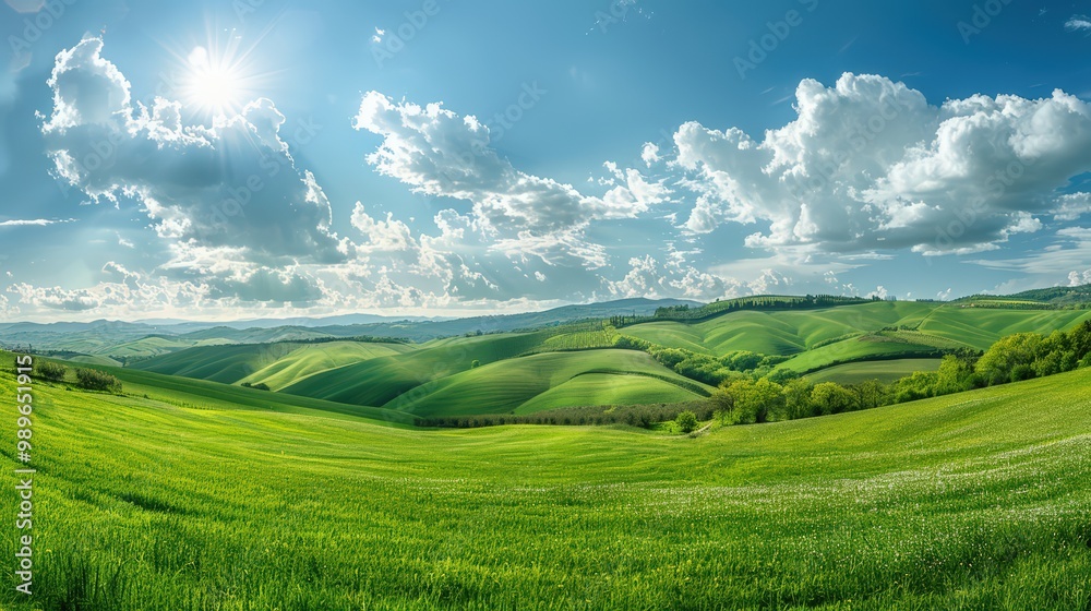 Fototapeta premium Landscape of rolling hills, picturesque countryside with green fields and scenic meadows, rural farmland in a sunny summer morning.