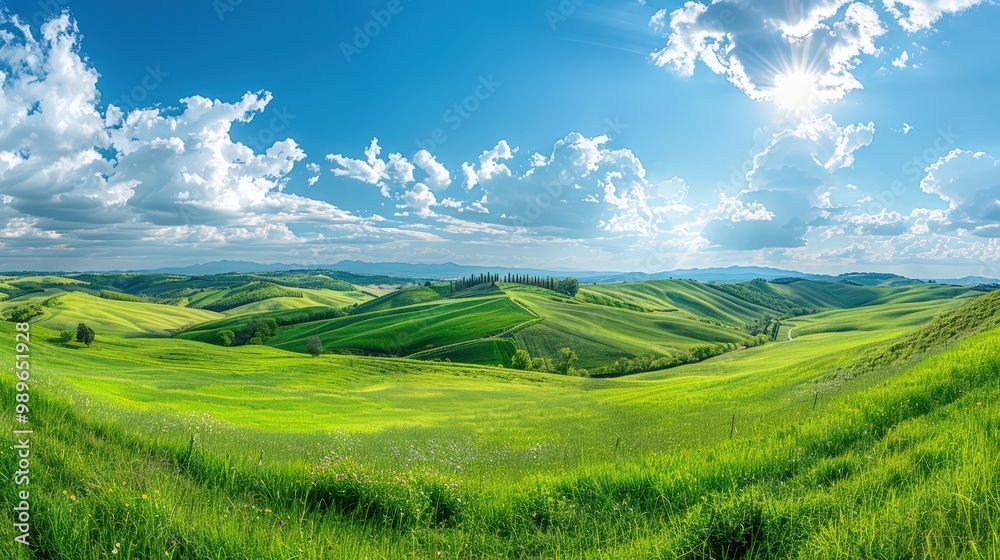 Fototapeta premium Landscape of rolling hills, picturesque countryside with green fields and scenic meadows, rural farmland in a sunny summer morning.