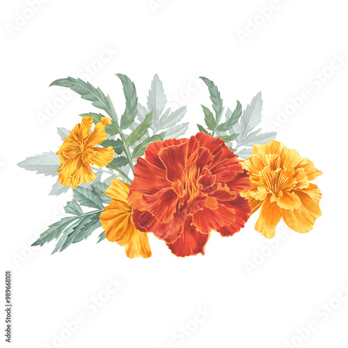 Marigolds, bright yellow-red bouquet. Watercolor illustration. Flower arrangement of tagetes with greenery. For design of postcard, sticker, background, textile, packaging