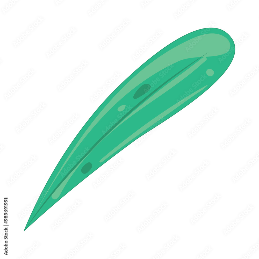 Single green leaf with smooth surface and pointed tip Vector Single green leaf with smooth surface and pointed tip Vector