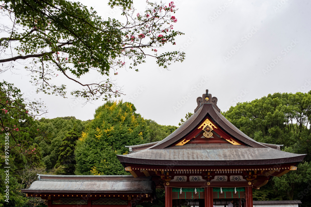 鎌倉249 鶴岡八幡宮2 舞殿 鎌倉249 鶴岡八幡宮2 舞殿