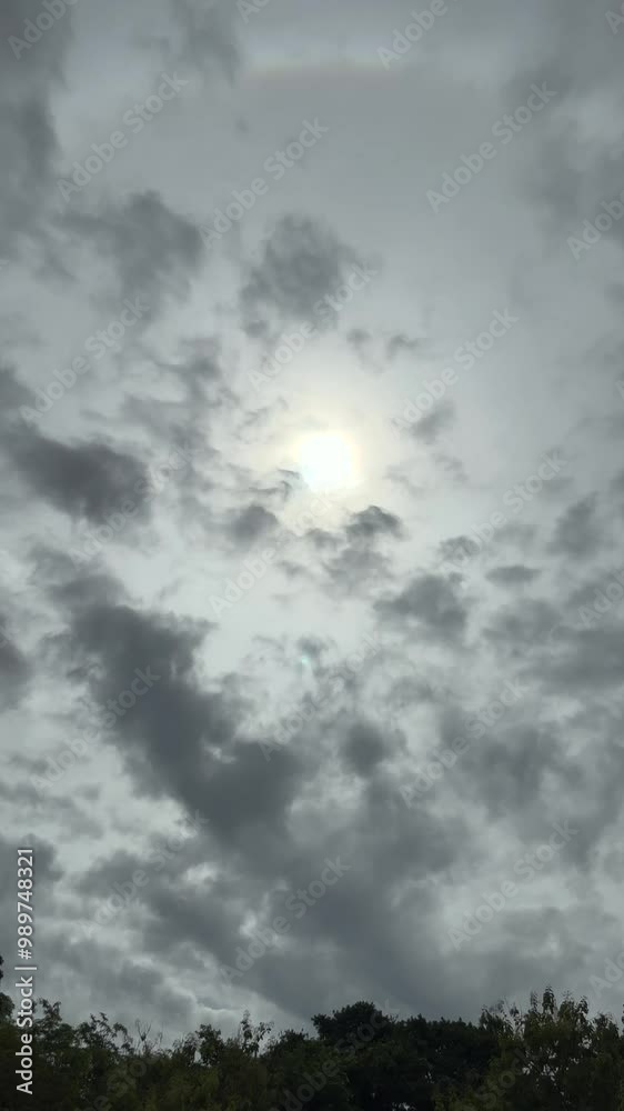 The Sun's Shining Into The Cloud With Moving Clouds And Windblown Trees On Cloudy Sky Background, Speed Up. At Bangkok, Thailand. 02 Sep 2024, AM The Sun's Shining Into The Cloud With Moving Clouds And Windblown Trees On Cloudy Sky Background, Speed Up. At Bangkok, Thailand. 02 Sep 2024, AM