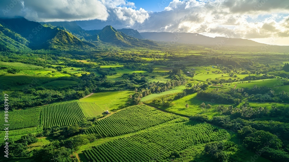 Naklejka premium Serene Aerial View of a Lush Green Valley Organic Farm Promoting Eco-Tourism and Sustainable Agriculture Practices