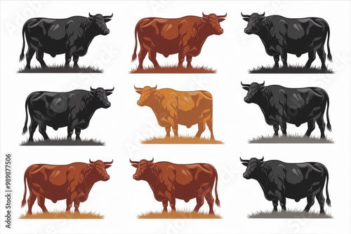 A set of cattle cows in different colors 