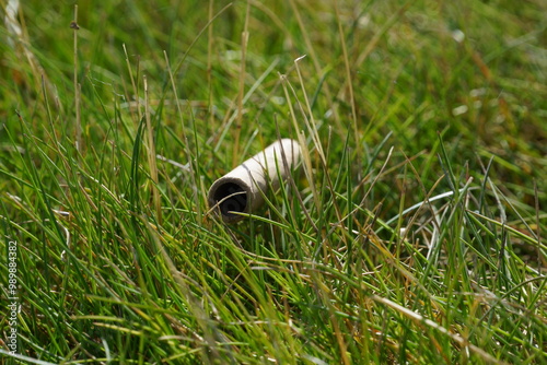 Close up of cardboard straw sitting grass
