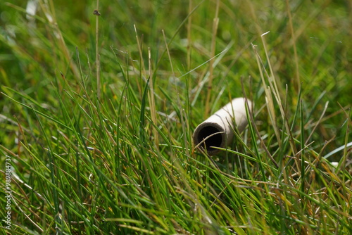 Close up of cardboard straw sitting grass