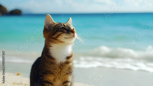 A cat sitting on the beach, gazing at the ocean under a bright sky.