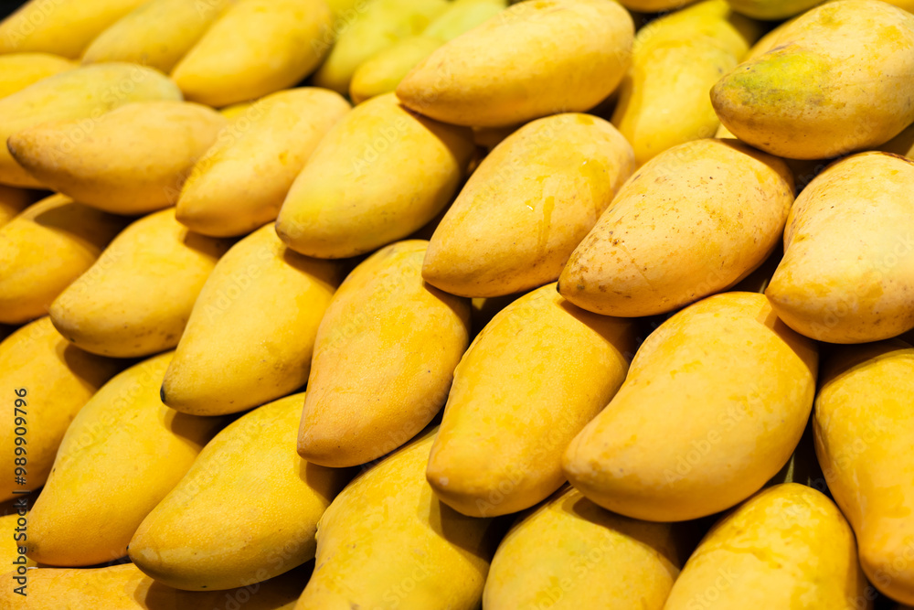 Obraz premium Yellow collection. Fresh yellow mango pile on market table. the most popular ripe fruit in summer season in Thailand.