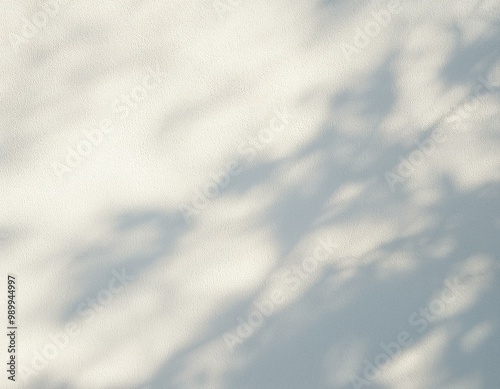 影　植物　地面　白背景　柔らかな　光　日光　空間　ニュアンス　やさしい　