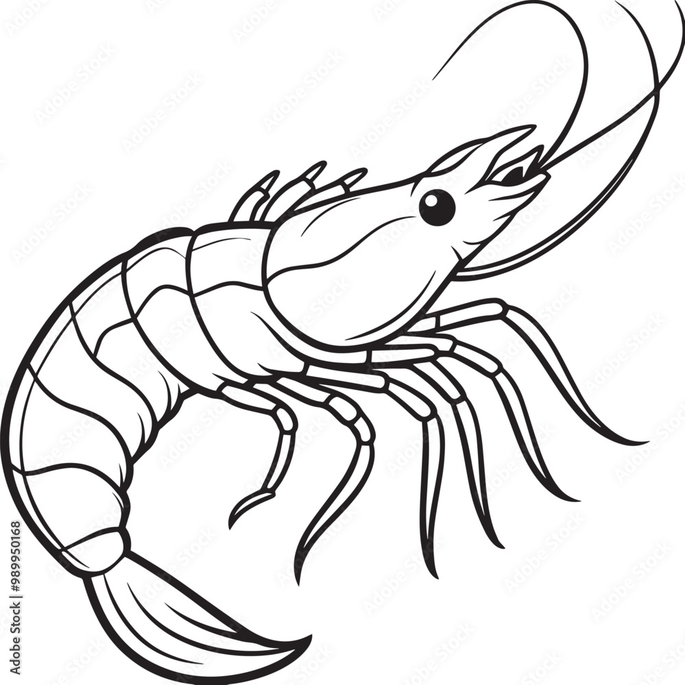 Fototapeta premium prawn line art vector
