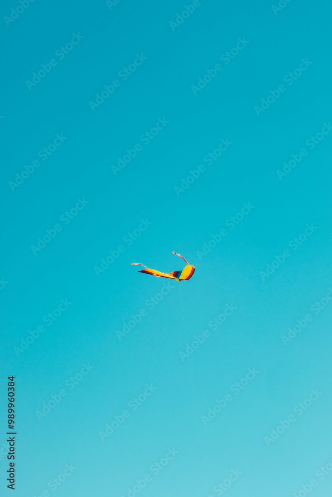 Kite in the sky