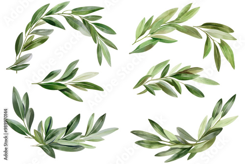 Collection of olive garlands and laurels for champions, isolated on white background