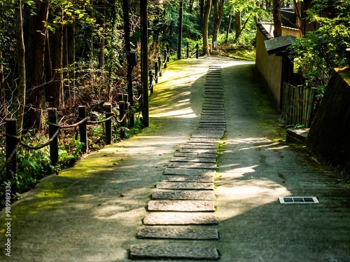 Foto 石畳と樹木が調和した日本庭園の道に光が差している風景