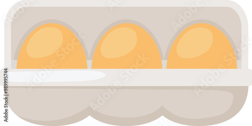 illustration of colorful Eggs in cardboard package vector